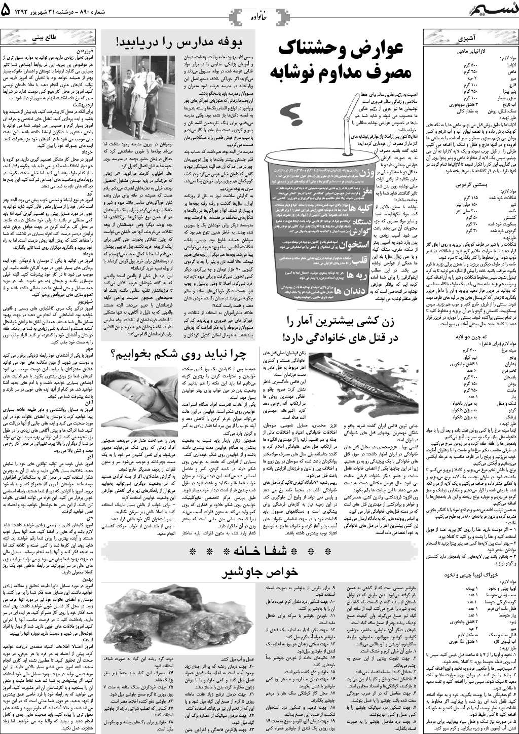 صفحه خانواده روزنامه نسیم شماره 890